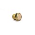 Brass Silencer Button Type Pneumatic (Plug)